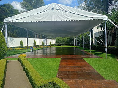 Domos Y Carpas Para Eventos